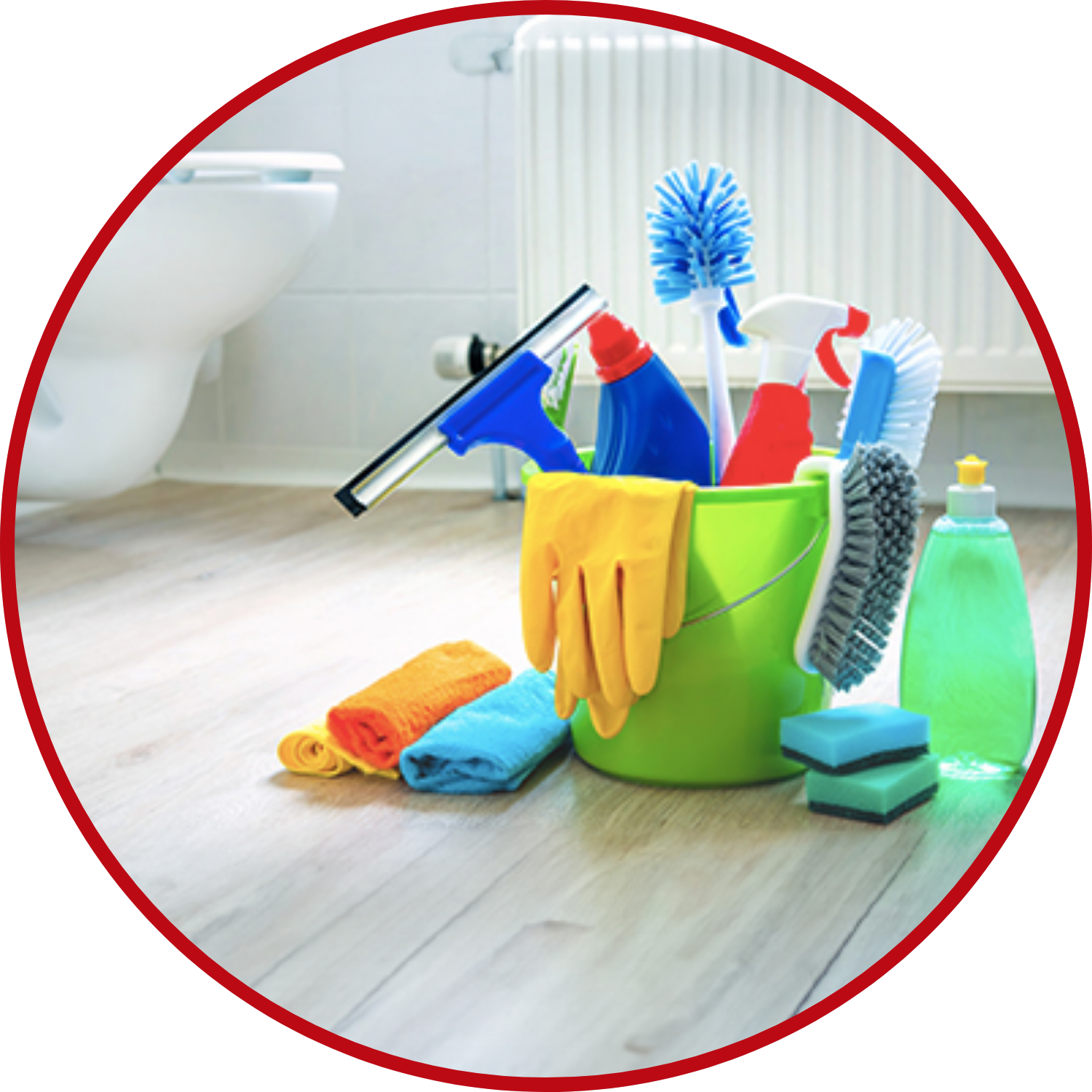 Bathroom Cleaning